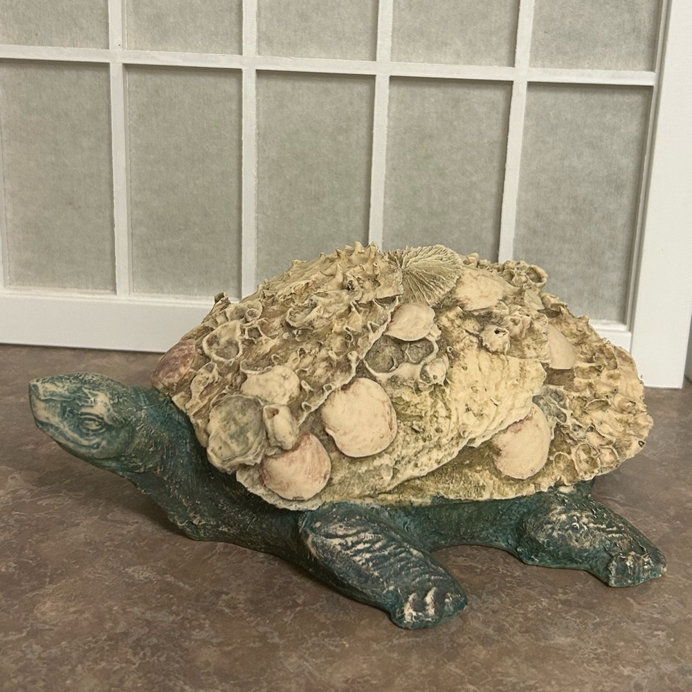 Hayes Parker Coral Turtle